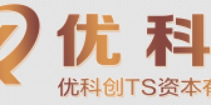 优科创资本有限公司简介