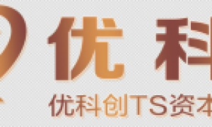 优科创资本有限公司简介