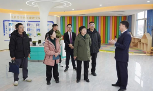 保定市残联领导莅临冀之翼儿童康复医院调研指导